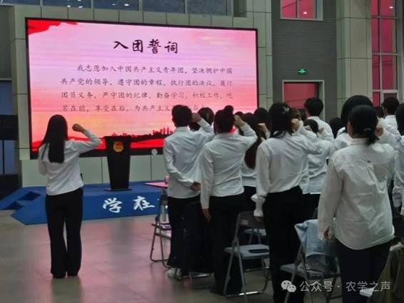 说明: 10-11.jpg
