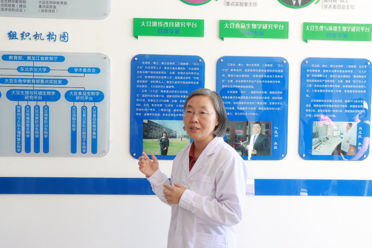 张淑珍教授讲解东北农业大学大豆研究发展历程