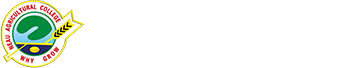 永利官网